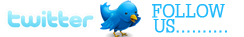 Internet Marketing Chicago * Chicago SEO * Twitter Chicago Internet Marketing * Twitter Social Network Marketing